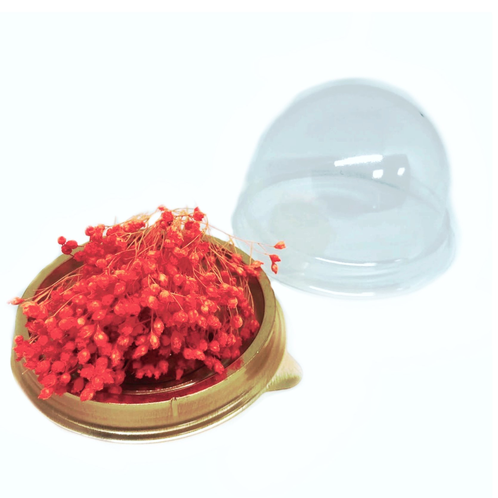 Брум блум оранжевый, сухоцвет, 25-30 соцветий