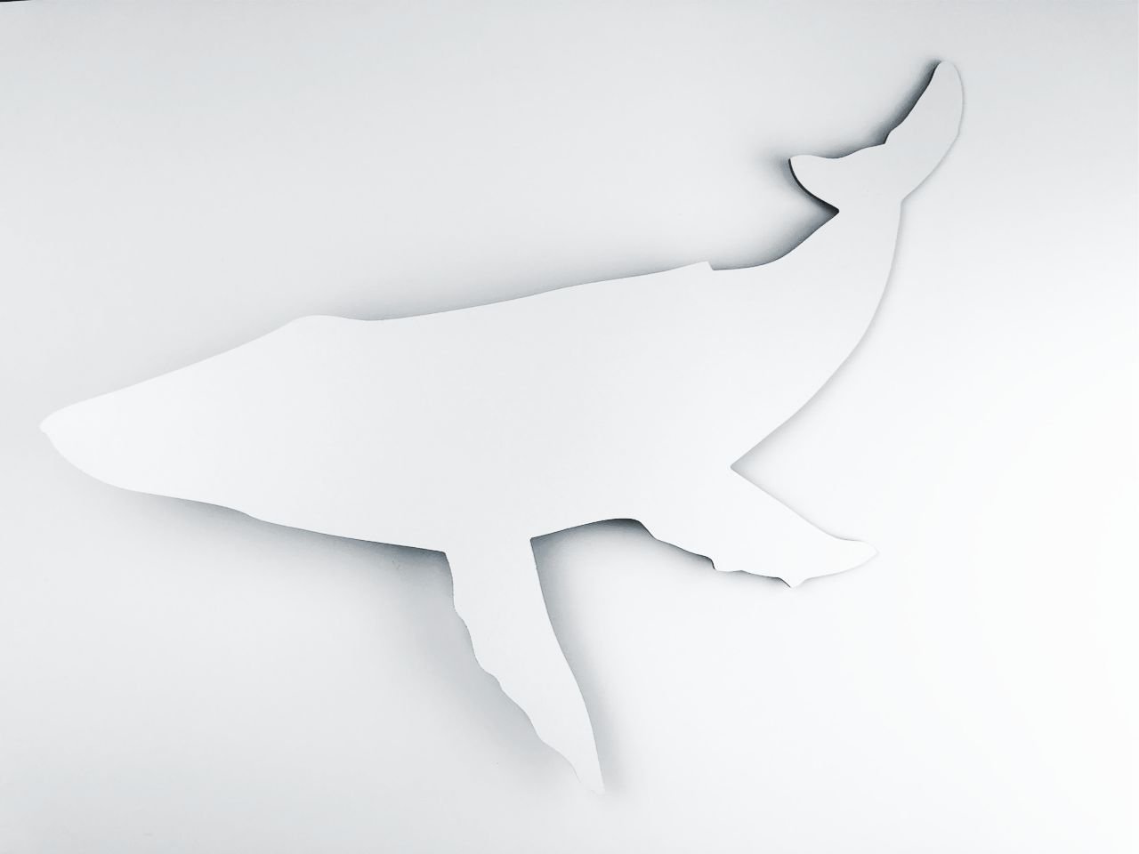 Артборд. КИТ. 55х35 см