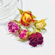 Сухой набор бутонов роз