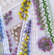 Микс из соцветий статицы