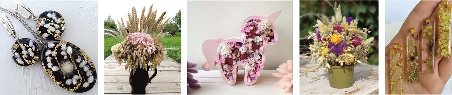 Применение сухоцвета Бриза