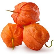 Высушенные плоды физалиса