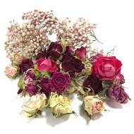 Микс из сухоцветов роз
