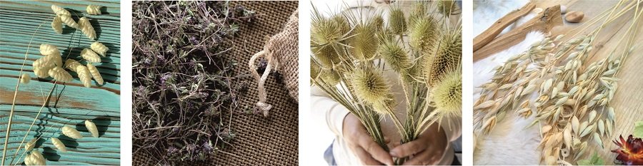 Сухие травы и злаки для творчества и декора Сухие травы и злаки для творчества и декора