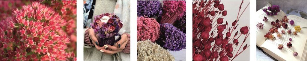 Сухоцветы бордовых и красных цветов