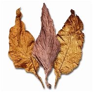 Сухие листья