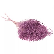 Фиолетовый брум-блум