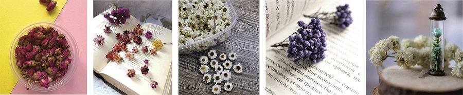 Сухие бутоны для декора и творчества Сухие бутоны для декора и творчества