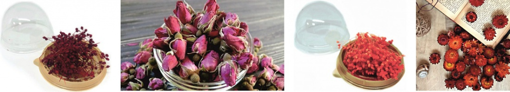 Сухие растения красных оттенков