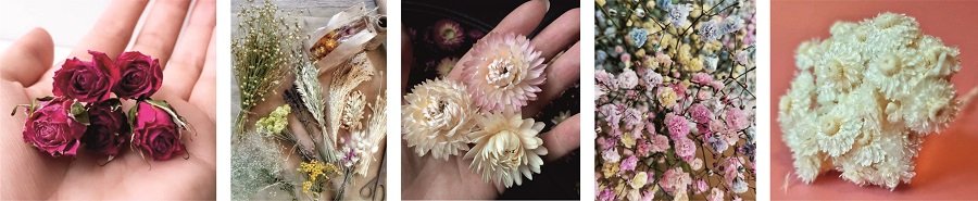 Сухие цветы для декора и творчества