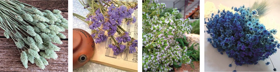 Сухие растения синих оттенков Сухие растения синих оттенков