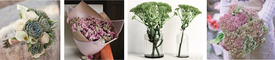 Применение сухого очитка в творчестве