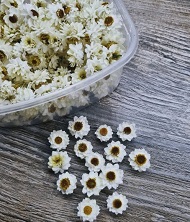 аммобиум высушенный