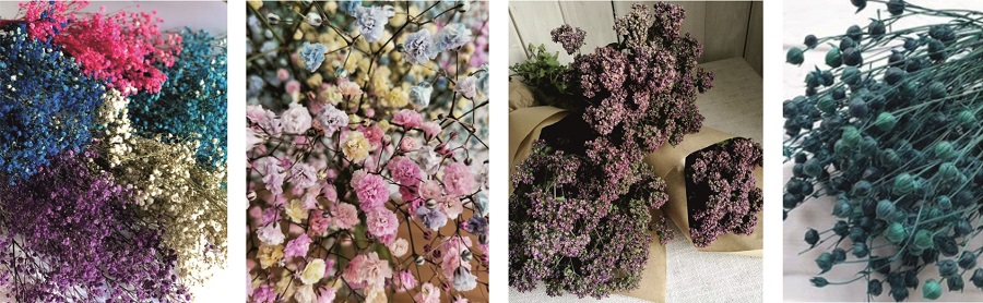 Сухцветы синего и голубого цветов Сухцветы синего и голубого цветов