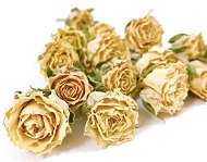 Сухие бутоны роз крупные