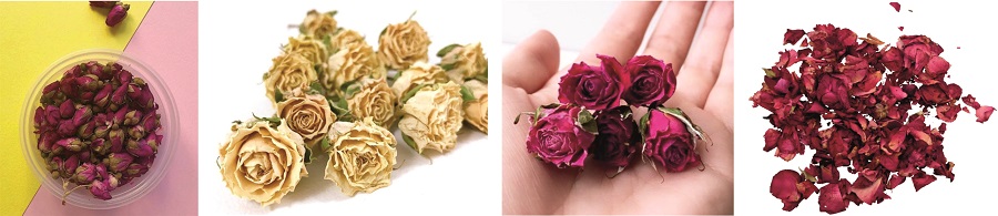 Сухоцвет Роза