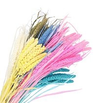 Засушенные злаки Засушенные злаки