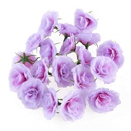 Сиреневые высушенные розы