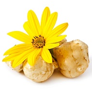 топинамбур