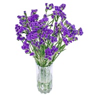 Статица с фиолетовыми соцветиями