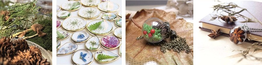 Сухие плоды растений для декора и творчества Сухие плоды растений для декора и творчества