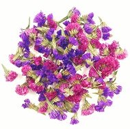 бутоны статицы