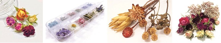 Наборы сухоцветов для декора и творчества Наборы сухоцветов для декора и творчества