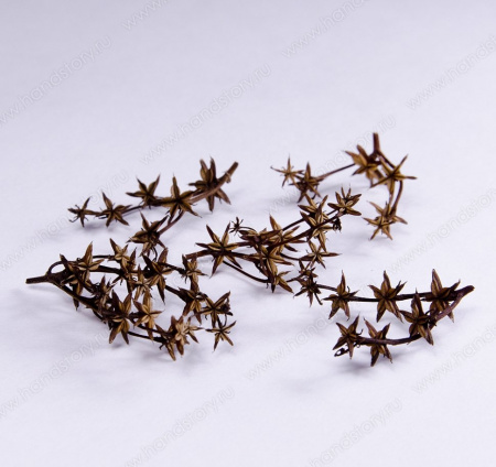 Очиток, звездочки, сухоцвет, 4-6 мм