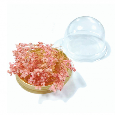 Брум блум розовый, сухоцвет, 25-30 соцветий