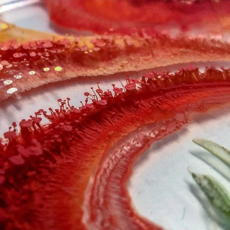 Алкогольные чернила Kamenskaya Ink "Лимонный"