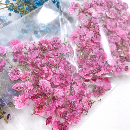 Гипсофила розовая, плоская сушка, 1 г