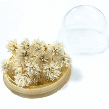 Hill flower, сухоцвет, 20 цветков