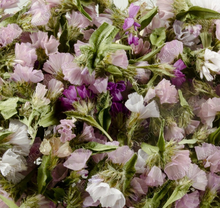 Статице, сухоцвет, микс: розовый, фуксия, белый