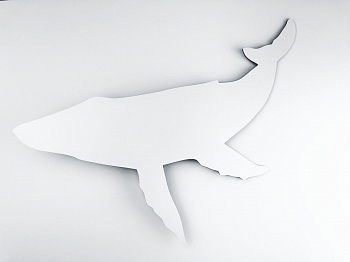 Артборд. КИТ. 55х35 см