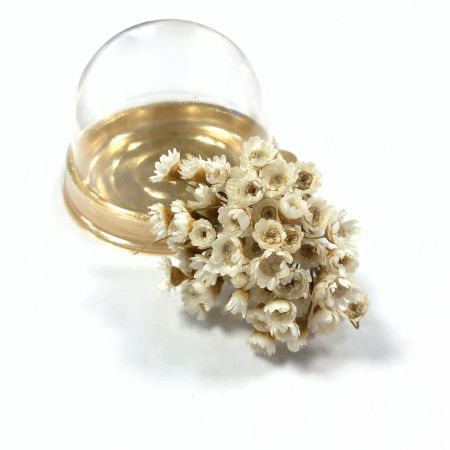 Sun flower, сухоцвет, 55-60 цветков