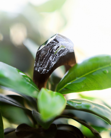 Полировка эпоксидной смолы и создание кольца из дерева. Онлайн-курс Павла Шаркунова.